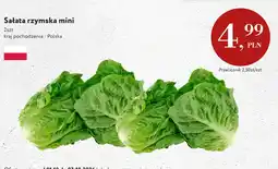 Market Point Sałata rzymska mini polska oferta