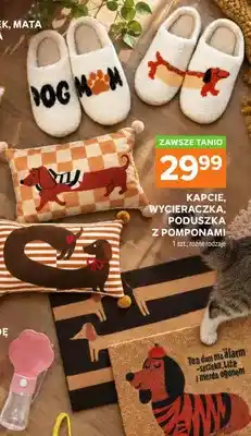 Stokrotka Kapcie oferta
