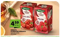 ABC Herbata ekspresowa Herbaciany Ogród dzika róża Herbapol oferta
