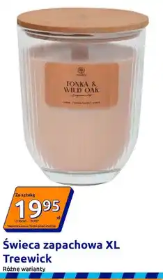 Action Świeca zapachowa XL Treewick oferta