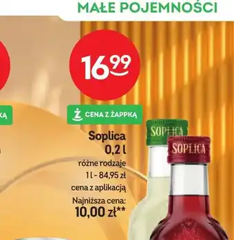 Soplica