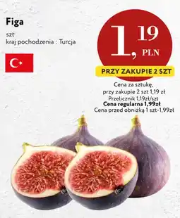 Market Point Figa oferta