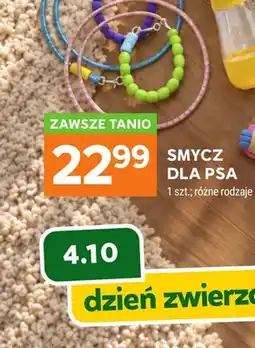 Stokrotka Smycz dla psa oferta
