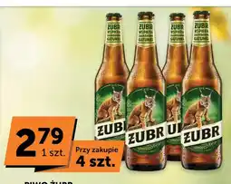 ABC Piwo Żubr oferta