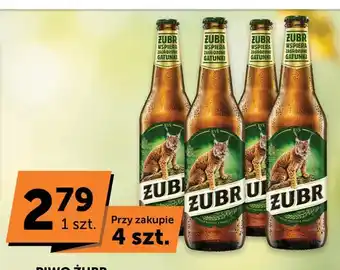 Piwo Żubr