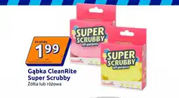 Action Gąbka CleanRite Super Scrubby oferta