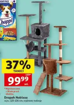 Auchan Drapak Nobleza oferta