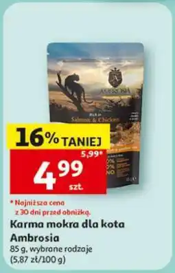 Auchan Karma mokra dla kota Ambrosia oferta