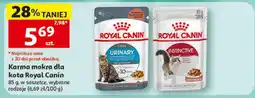 Auchan ROYAL CANIN oferta