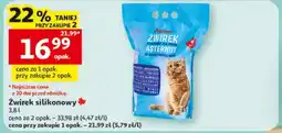 Auchan Żwirek silikonowy oferta