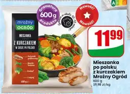 Dino Mieszanka po polsku z kurczakiem Mroźny Ogród oferta