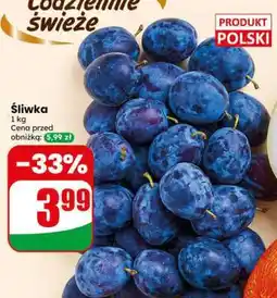 Dino Śliwka oferta