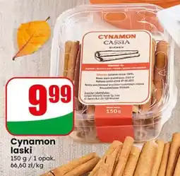 Dino Cynamon laski oferta