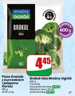Dino Brokuł róża Mroźny Ogród oferta
