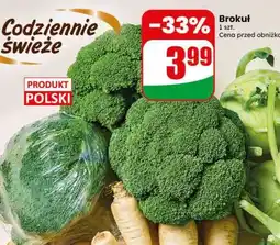 Dino Brokuł oferta