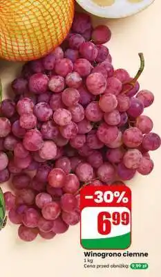 Dino Winogrono ciemne oferta