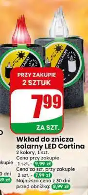 Dino Wkład do znicza solarny LED Cortina oferta