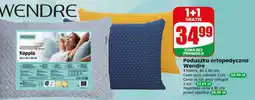 Dino Poduszka ortopedyczna Wendre oferta