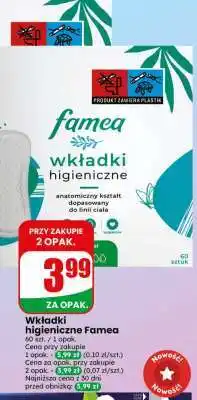 Dino Wkładki higieniczne Famea oferta