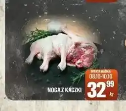 TomiMarkt Noga z kaczki oferta