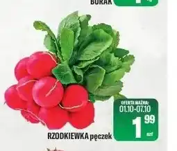 TomiMarkt Rzodkiewka oferta