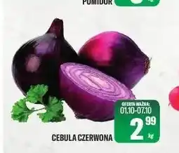 TomiMarkt Cebula czerwona oferta