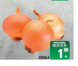 TomiMarkt Cebula oferta