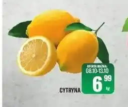 TomiMarkt Cytryny oferta