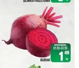 TomiMarkt Buraki oferta