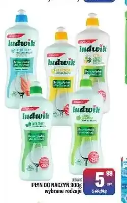 TomiMarkt Płyn do naczyń Ludwik oferta