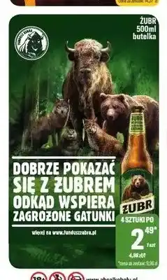 TomiMarkt Piwo Żubr oferta