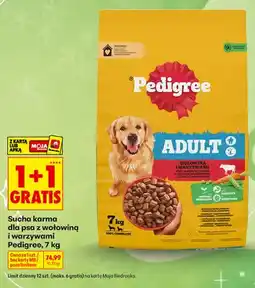 Biedronka Sucha karma dla psa z wołowiną i warzywami Pedigree oferta