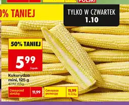 Biedronka Kukurydza mini oferta