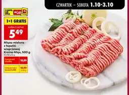 Biedronka Mięso mielone z łopatki wieprzowej Kraina Mięs oferta