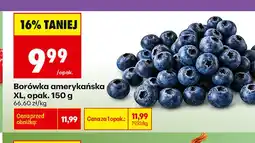 Biedronka Borówki amerykańskie XL oferta