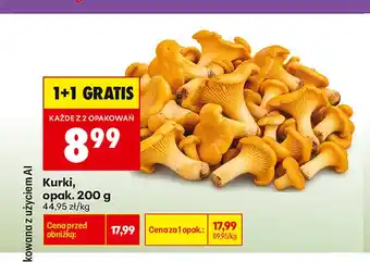 Biedronka Kurki oferta