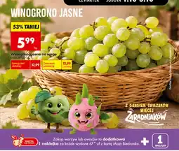 Biedronka Winogrona jasne oferta