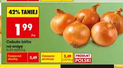 Biedronka Cebula żółta oferta