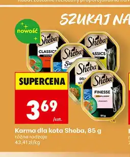 Biedronka Karma dla kota Sheba oferta