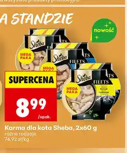 Biedronka Karma dla kota Sheba 2-pak oferta