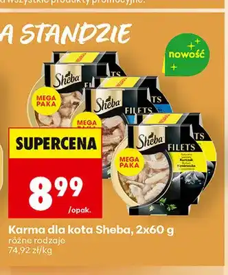 Biedronka Karma dla kota Sheba 2-pak oferta