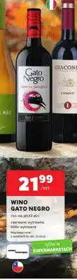 Stokrotka Wino białe Gato Negro wytrawne oferta