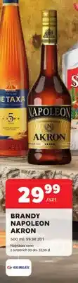 Stokrotka Brandy Napoleon Akron oferta