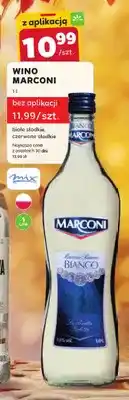 Stokrotka Wino białe Marconi słodkie oferta