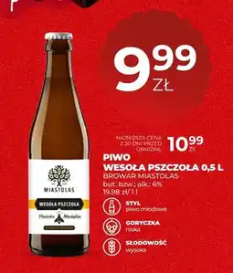 Duży Ben Piwo Wesoła Pszczoła Browar Miastolas oferta