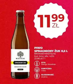 Duży Ben Piwo Spragniony Żuk Browar Miastolas oferta