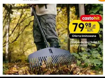 Grabie do liści Solid L Fiskars