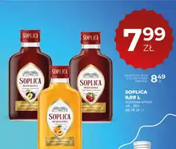 Duży Ben Soplica Śliwkowa oferta