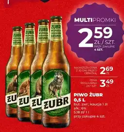Duży Ben Piwo Żubr oferta