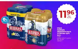 Duży Ben Piwo Harnaś 4-pak oferta